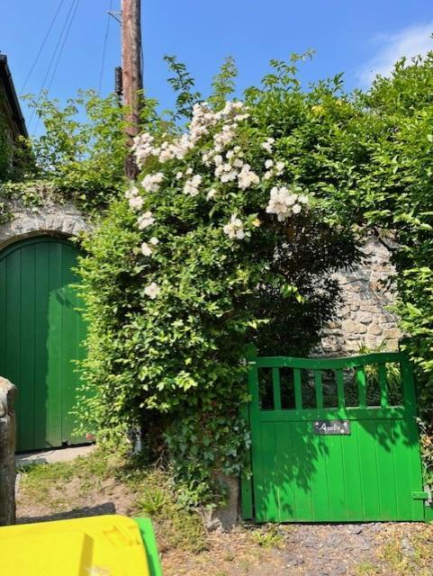 Casa vacanze Amelie
